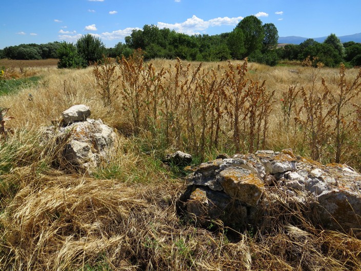 bp 01 solarmuros.jpg (555627 bytes)