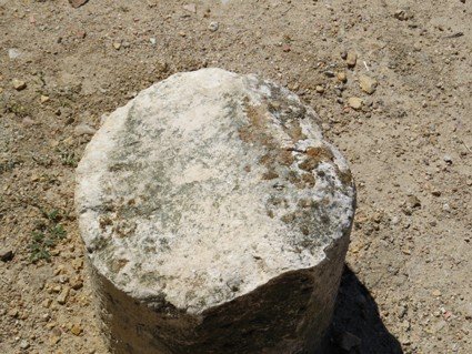 bp 06 coliglesia2.jpg (201400 bytes)