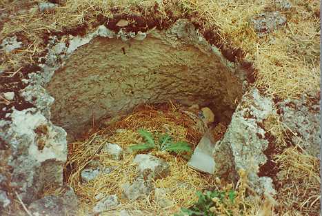 faroles1b.jpg (34887 bytes)