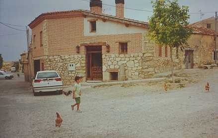 percas2b.jpg (16316 bytes)