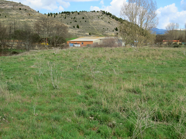 puente veterano sin servicio de mantenimiento