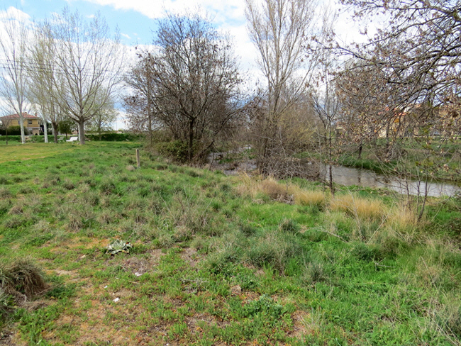 puente veterano sin servicio de mantenimiento