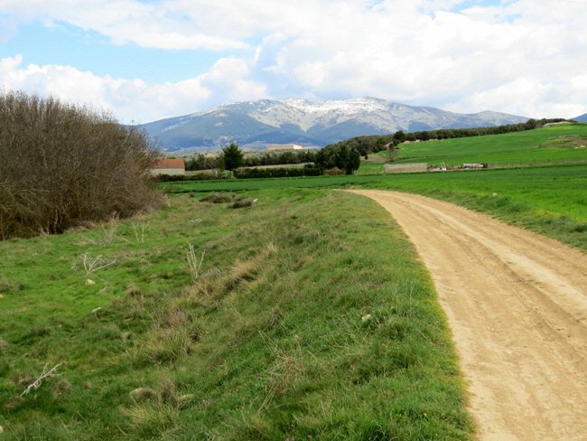 puente veterano sin servicio de mantenimiento