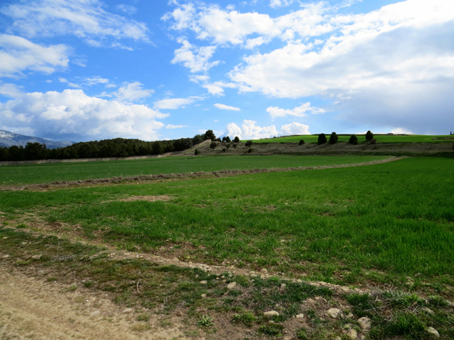 puente veterano sin servicio de mantenimiento