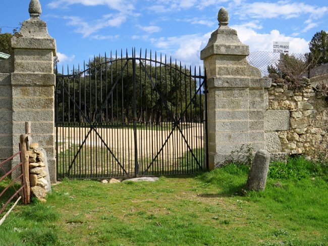 puente veterano sin servicio de mantenimiento
