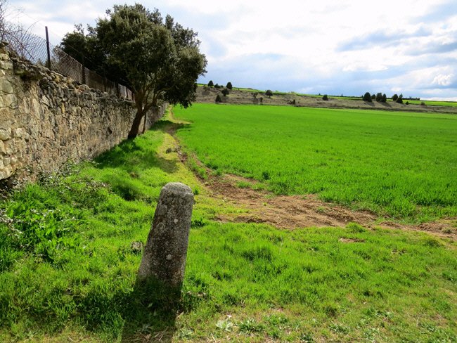 puente veterano sin servicio de mantenimiento