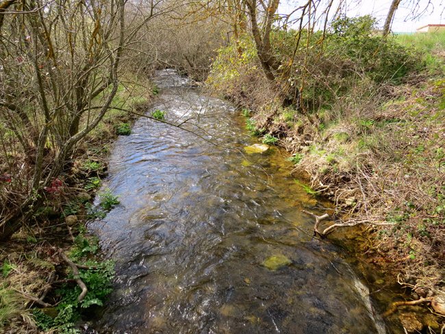 puente veterano sin servicio de mantenimiento