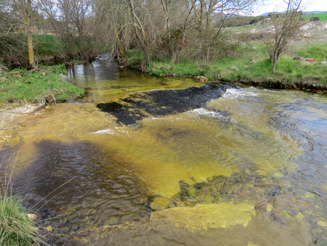 puente veterano sin servicio de mantenimiento