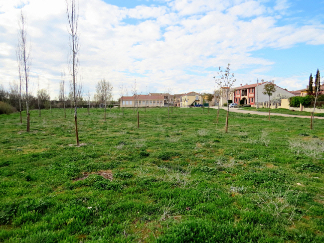 puente veterano sin servicio de mantenimiento