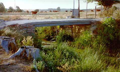 puente veterano sin servicio de mantenimiento
