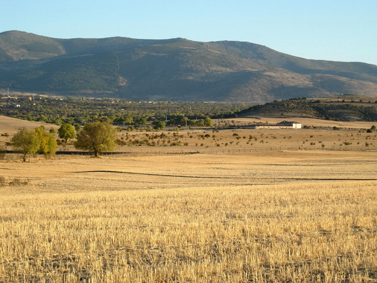 visescobarlomillo.jpg (464467 bytes)