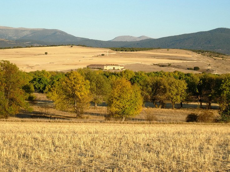 vissotillodesdesoto.jpg (494801 bytes)