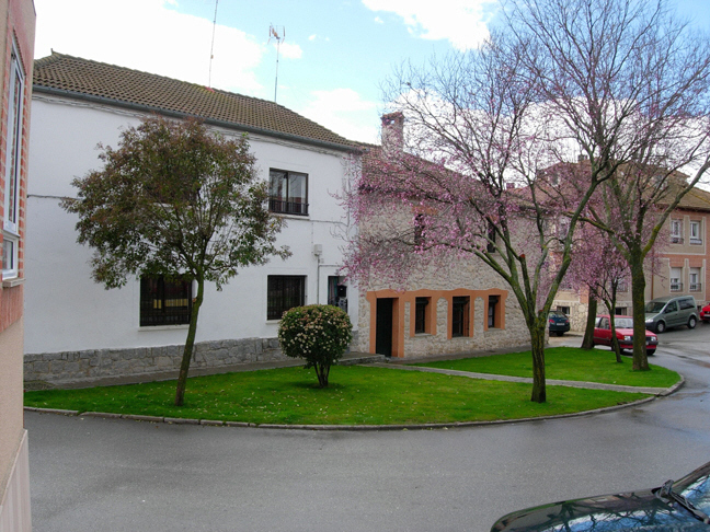 parcial de la Plaza de la Constitucin