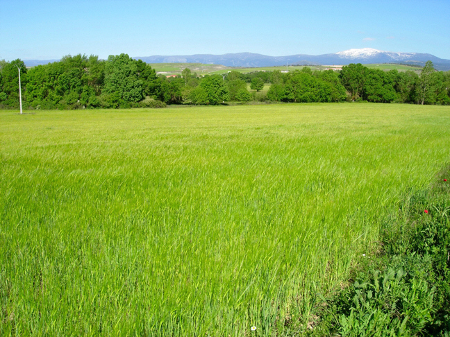 parcial de la Plaza de Oriente