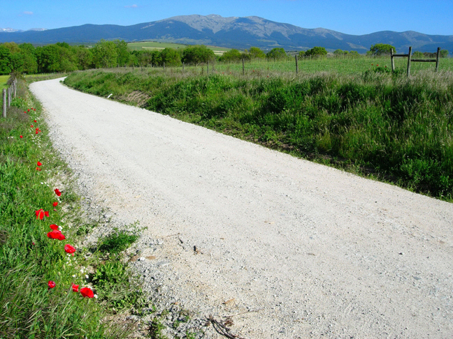 parcial de la Plaza de Oriente