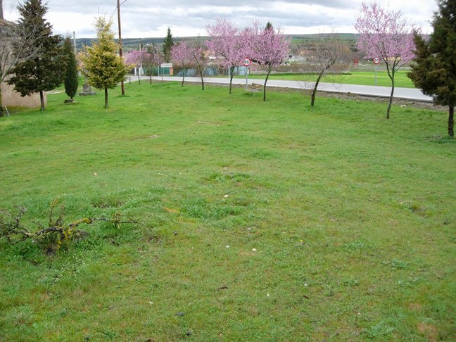 Pradera de La Ermita