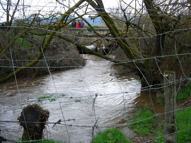 el R�o Fr�o amaga con salirse de su cauce