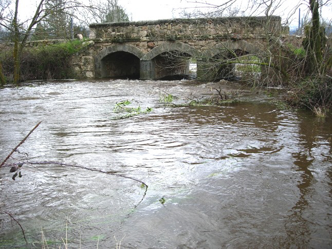 el R�o Fr�o amaga con salirse de su cauce