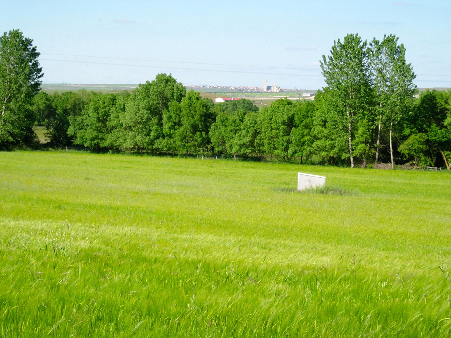 parcial de la Plaza de Oriente