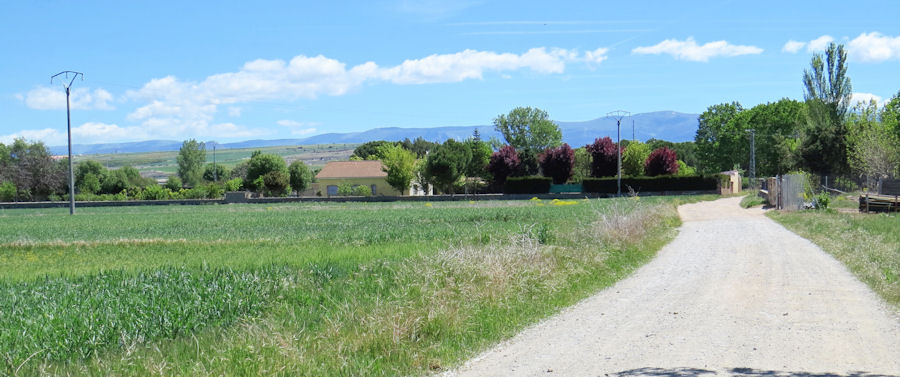 casvictorialor1.jpg (340811 bytes)