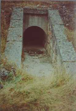 puente veterano sin servicio de mantenimiento