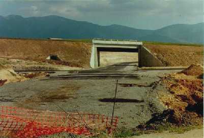 puente veterano sin servicio de mantenimiento